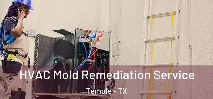 HVAC Mold Remediation Service Temple - TX