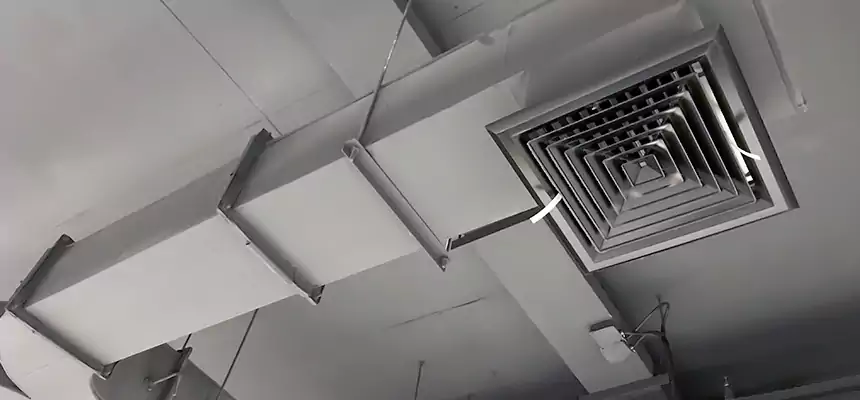 Restorative Allergy Relief Vent Cleaning – Coil, Blower & Housing Detail in Temple