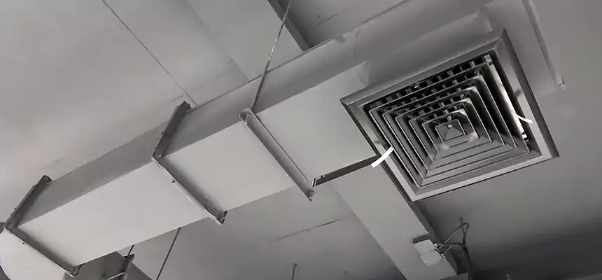 Our Pest Removal From Ducts Services in Temple, TX