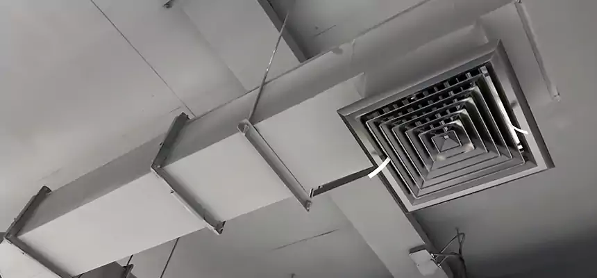 Our Rodent Droppings In Vents Services in Temple, TX