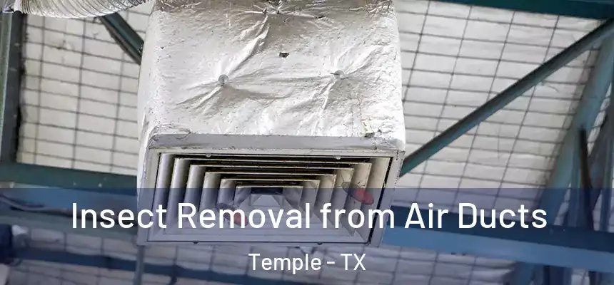 Insect Removal from Air Ducts Temple - TX