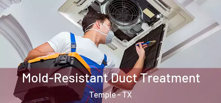 Mold-Resistant Duct Treatment Temple - TX