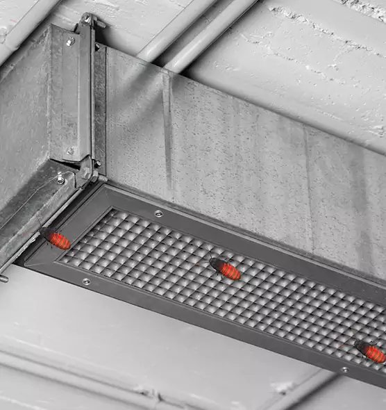 About Air Duct Cockroach Removal in Temple, TX