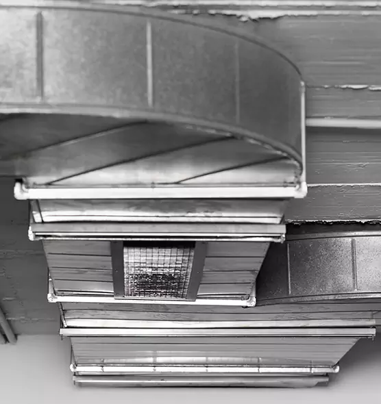 Professional Air Duct Pet Hair Removal in Temple, TX