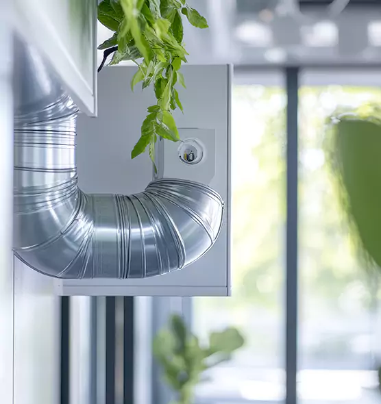 Professional Eco-Safe Dryer Vent Cleaning in Temple, TX