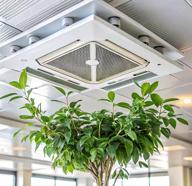 Why Homeowners & Businesses Trust Us in Temple, TX