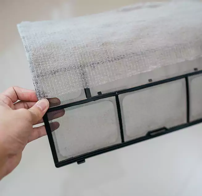 Why Homeowners & Businesses Trust Us in Temple, TX?