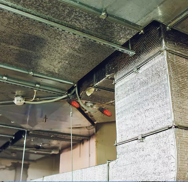 Why Homeowners & Businesses Trust Us Temple, TX?