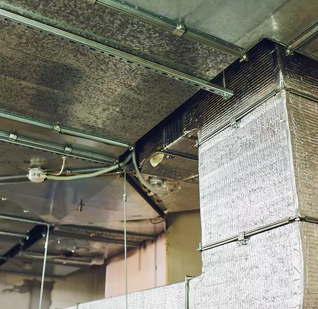 Why Homeowners & Businesses Trust Us in Temple, TX?